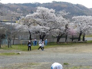P1250649.jpg
