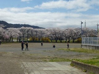P1250651.jpg