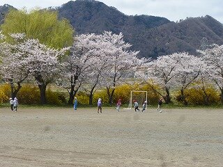 P1250656.jpg