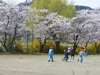 P1250658.jpg