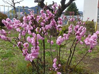 P1250672.jpg