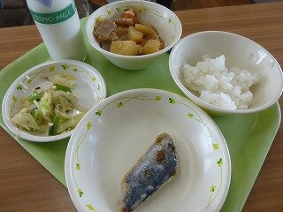 P1250678.jpg
