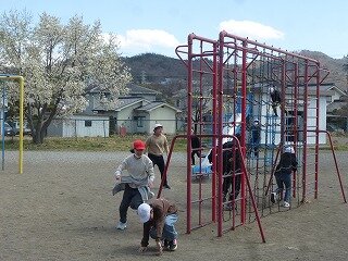 P1250684.jpg