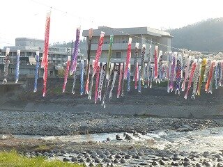 P1250710.jpg