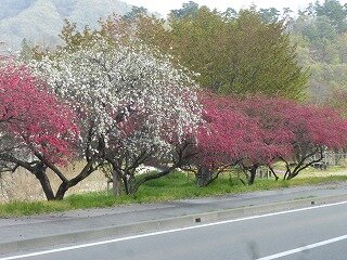 P1250743.jpg