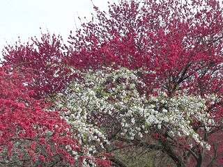 P1250752.jpg