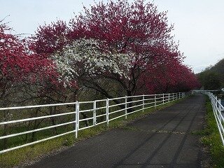 P1250753.jpg