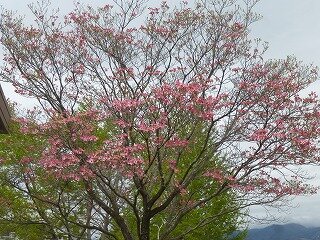 P1250784.jpg