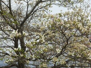 P1250785.jpg