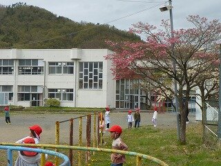 P1250791.jpg