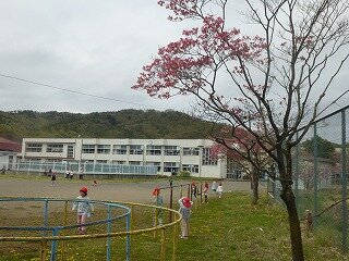 P1250792.jpg