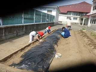 P1260037.jpg