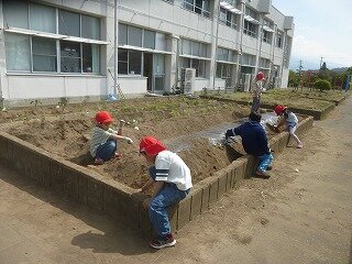 P1260042.jpg
