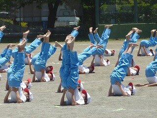 P1260160.jpg