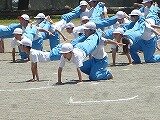 P1260170.jpg