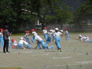 P1260205.jpg