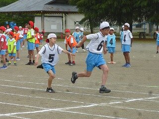 P1260228.jpg