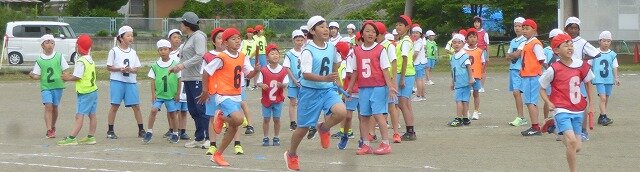 P1260234.jpg