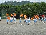 P1260250.jpg