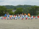 P1260292.jpg