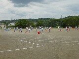 P1260294.jpg