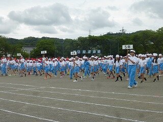 P1260341.jpg