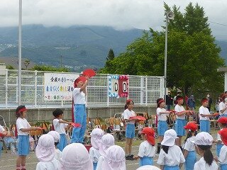 P1260355.jpg
