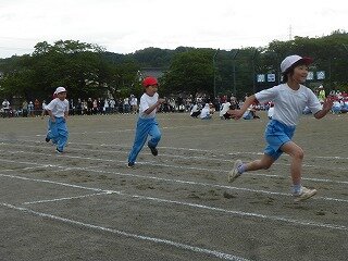 P1260428.jpg