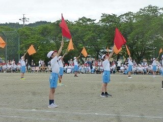 P1260502.jpg