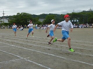 P1260517.jpg