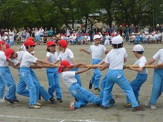 P1260555.jpg