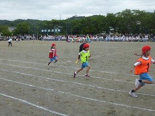 P1260559.jpg