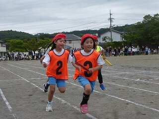 P1260563.jpg