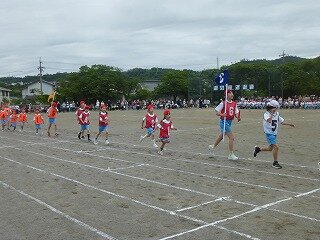 P1260571.jpg