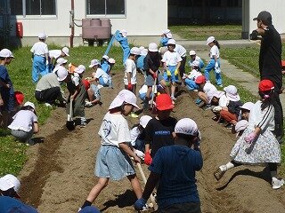 P1260587.jpg