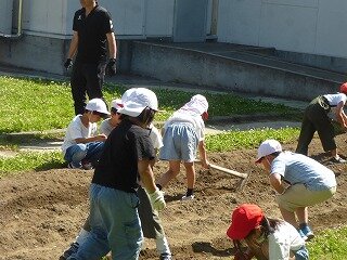 P1260594.jpg