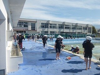 P1260600.jpg