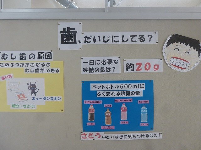 P1260617.jpg