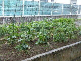 P1260627.jpg