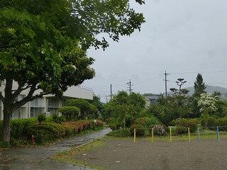 P1260628.jpg
