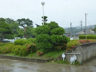 P1260629.jpg