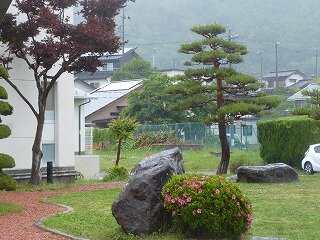 P1260630.jpg