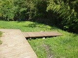 P1260683.jpg