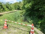 P1260684.jpg