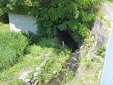 P1260686.jpg