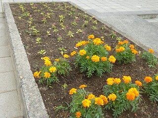 P1260802.jpg
