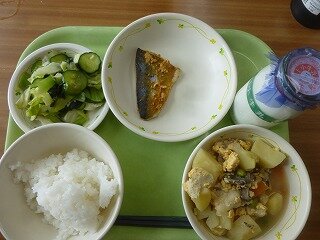 P1260851.jpg