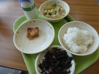 P1260953.jpg