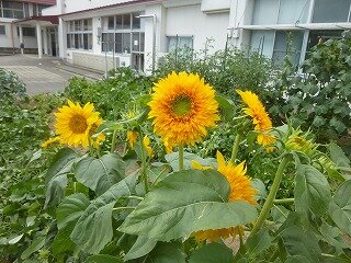 P1270001.jpg