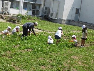 P1270074.jpg